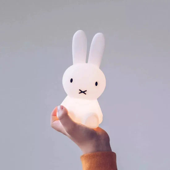 Miffy - Bundle of Light
