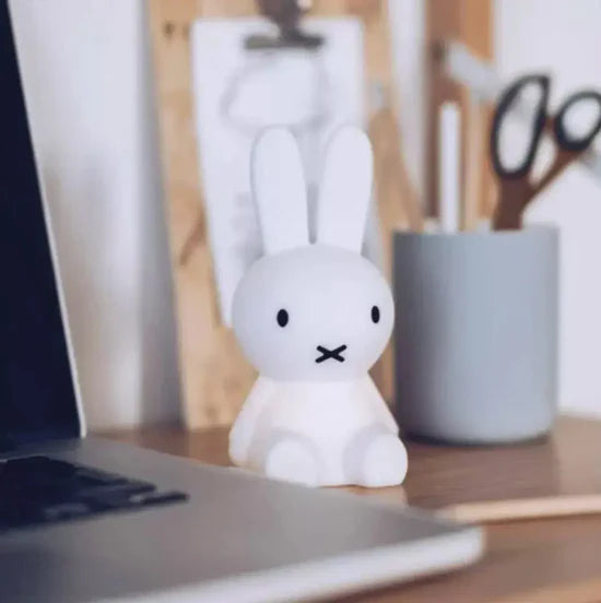 Miffy - Bundle of Light