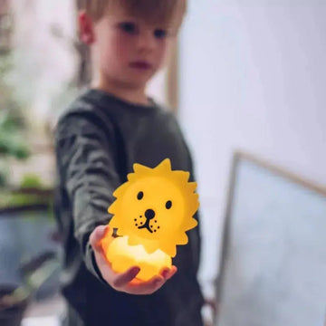 Lion - Bundle of Light