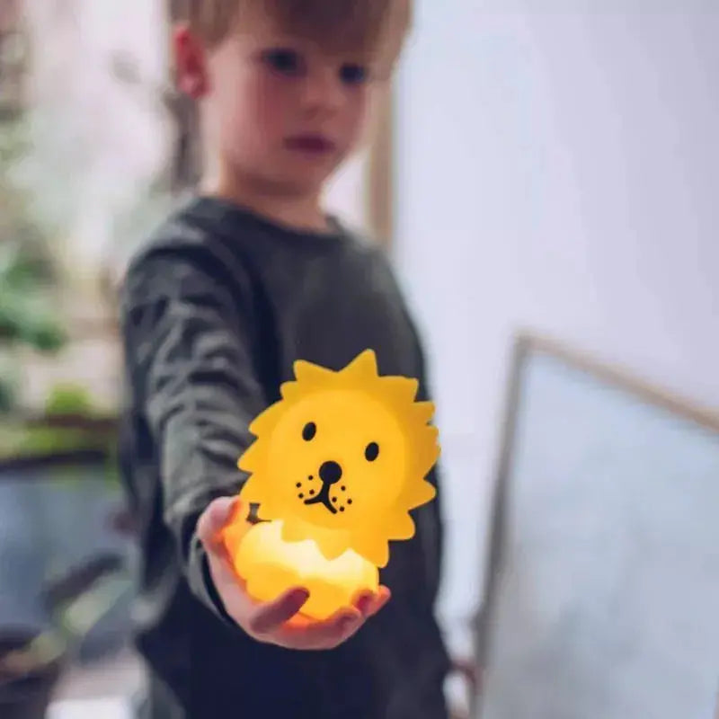 Lion - Bundle of Light